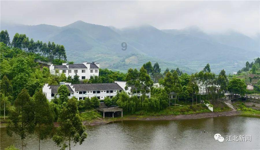 油饼面怎么和面又软又酥